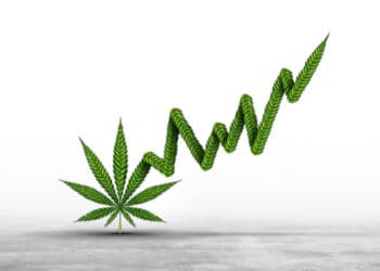 The New Green Rush: My #1 Cannabis Stock for the Next Boom