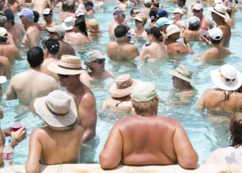 Market Bubbles and The Collapse of the Cryptocurrency Market