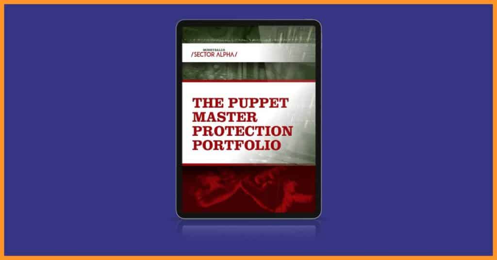 Biden’s Puppet Master, Bonus Report #2 - The Puppet Master Protection Portfolio