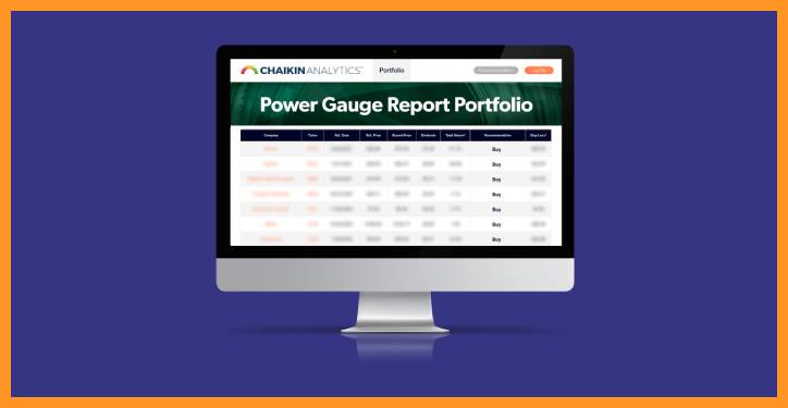 Power Gauge Report, One Full Year of Access to the Power Pulse System